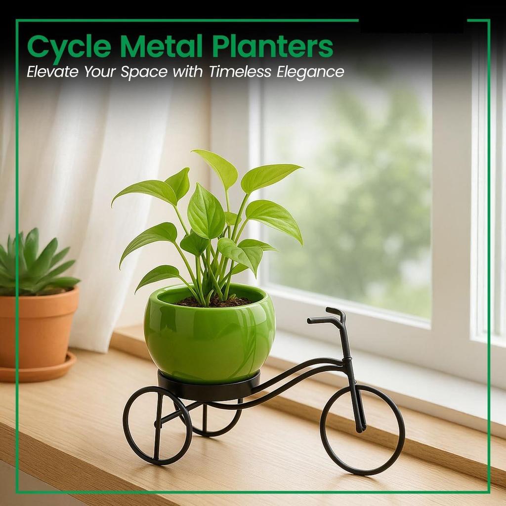 Cykelformat växtställ i metall för inomhus- och utomhusbruk, cykelvas i metall, dekorativ grytunderlägg i järn för blommor och ornament