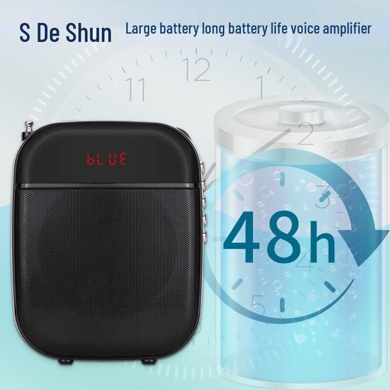 DESHUN Wireless Bluetooth Voice Amplifier