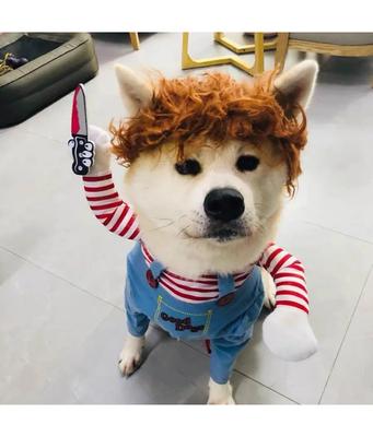 Halloween Pet Cosplay Costume Dog Dress for Small & Medium Dogs – Fun & Stylish Outfit Dogs Cats Pet Playing with Funny Clothes