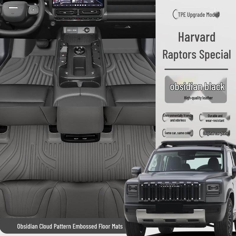 Eco-friendly Waterproof & Dustproof Floor Mats for Haval Menglong Cars