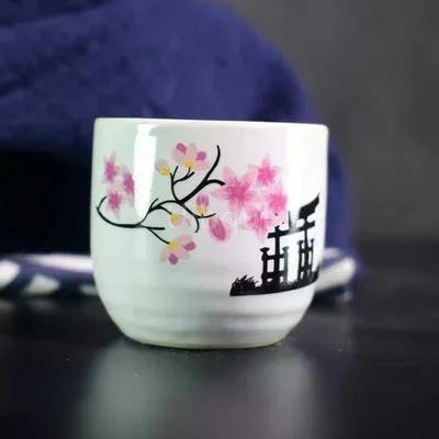 Декор ресторана Декоративный сашими Гарнир из лосося бутылка Сухой лед маленький горшок ледяная чашка Винная бутылка Японская креативная керамика