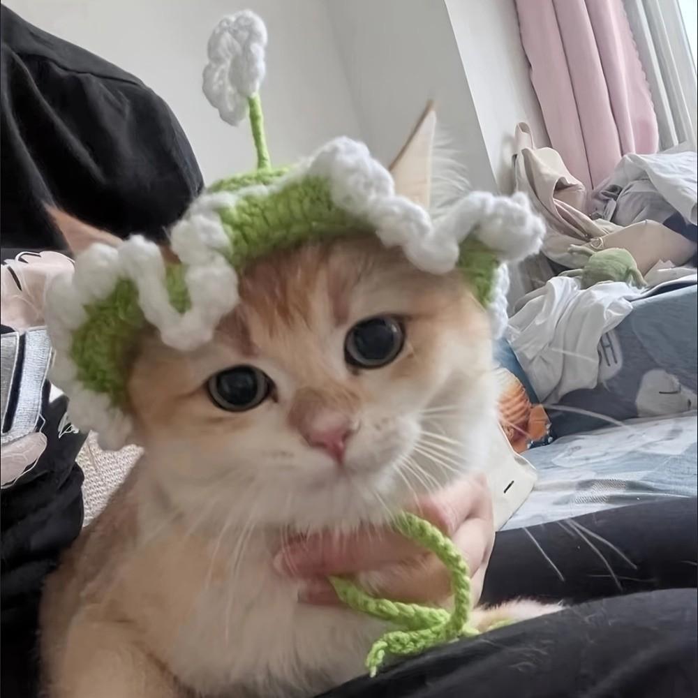Handmade Pet Cap Crochet Cat Headwear Unique Cat Knitted Hat  Puppy Style