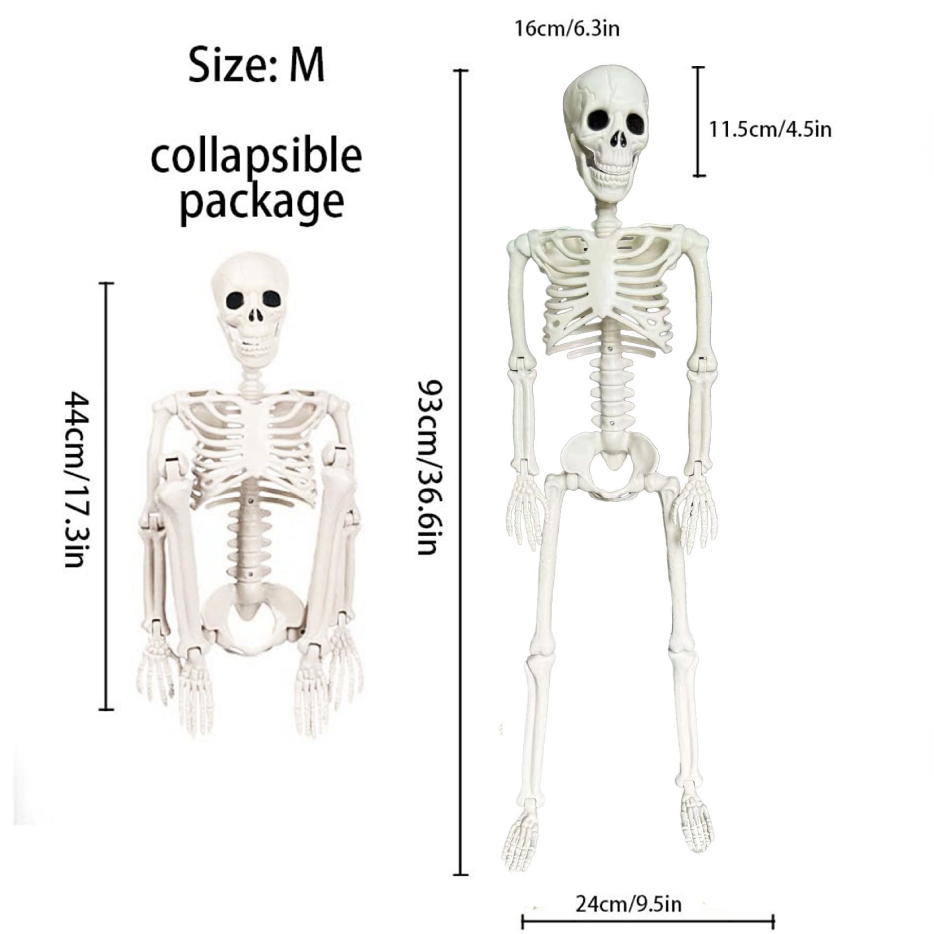 90cm Fully Articulated Luminous Skeleton Figure for Halloween Décor in Escape Rooms