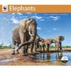Carousel Calendars, Elephants WWF 2026 Wall Calendar, 12.01'' X 14.09'', 16-Month Calendar with Stapled Binding