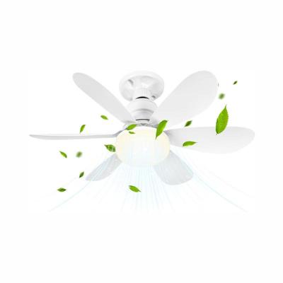 Ceiling Light with Fan,Ceiling Fan with Lighting and Remote Control,Small Quiet Ceiling Fan with 3 Wind Levels,Dimmable,Timing Function for Bedroom
