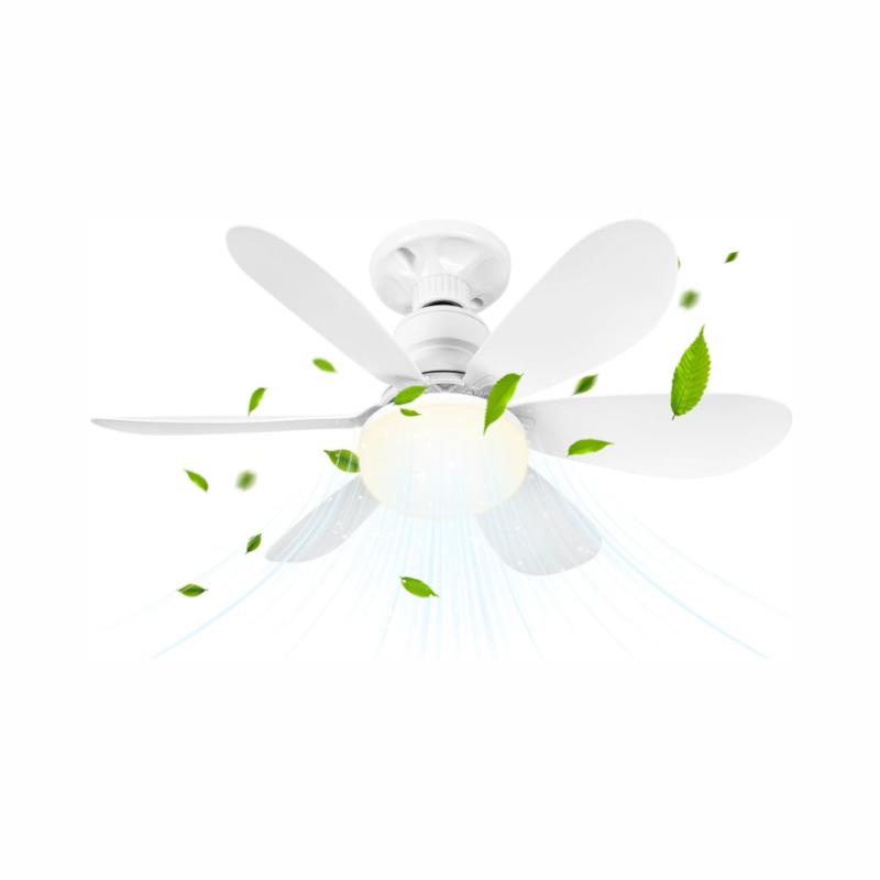 Ceiling Light with Fan,Ceiling Fan with Lighting and Remote Control,Small Quiet Ceiling Fan with 3 Wind Levels,Dimmable,Timing Function for Bedroom
