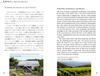 Japanese Wine WINES of JAPAN [Japanese-English Translation Bilingual Edition] (A Comprehensive Guide To Wines and Wineries of Japan)
