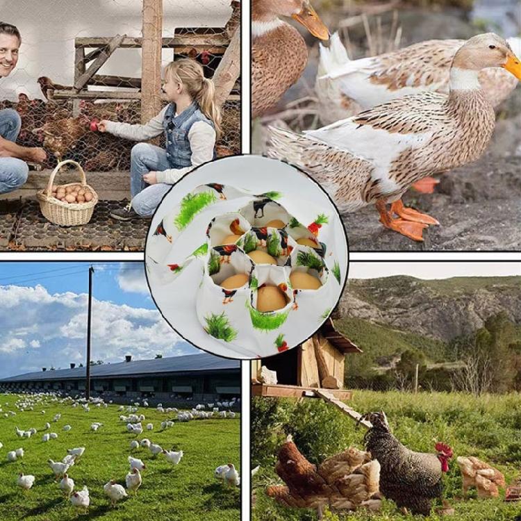 Bärbar äggsamlingsväska med bärhandtag och dämpande kudde för att förvara färska ägg på bondgården eller hemma