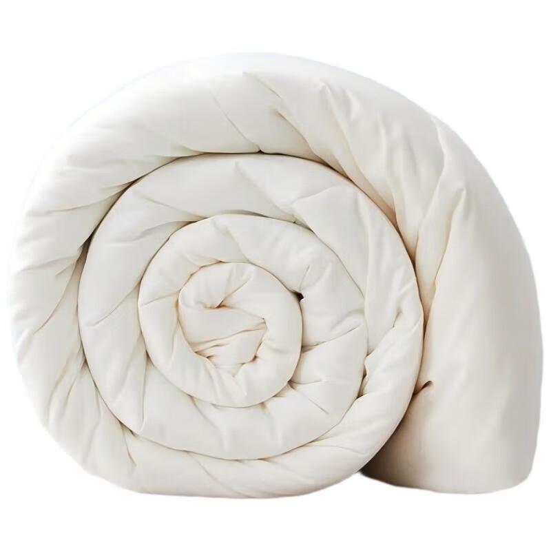 

Luolaiya Soft Silk All-Season Duvet
