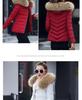Autumn Winter Korean Style Women's Slim Fit Cotton Padded Jacket - Cold Protection Outerwear