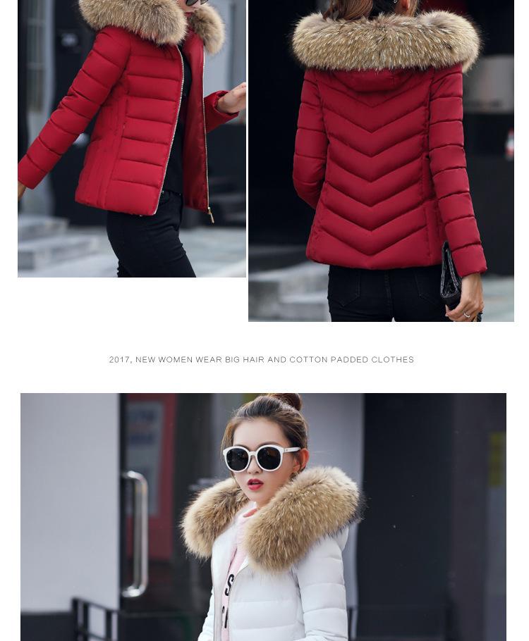Autumn Winter Korean Style Women's Slim Fit Cotton Padded Jacket - Cold Protection Outerwear