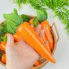 Carrot Simulation Model: Artificial Fake Foam Fruit for Home Décor or Easter Display