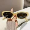 Cat Eye Sunglasses Women Eyeglasses Eyewear with Retro Style Shades