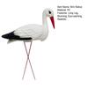 Garden White Bird Statue 23.6" Long Leg Standing Bird Sculpture Decorative Resin Ornament for Outdoor Pond Yard