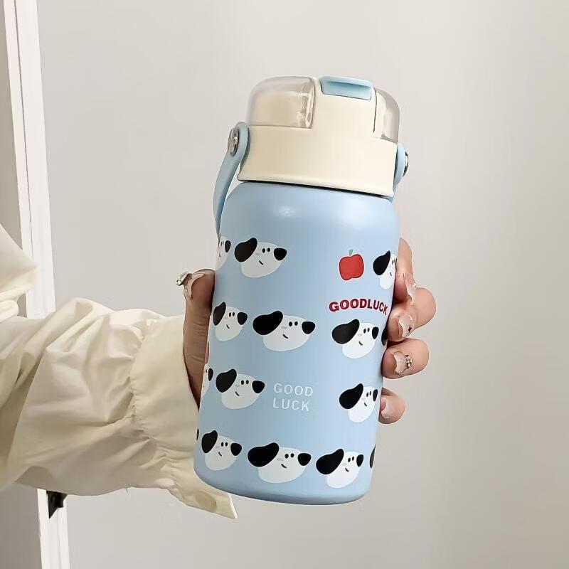 

Xihe 316 Stainless Steel Portable Double-Drink Insulated Bottle