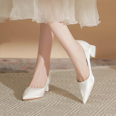 5cm Chunky Heel Pointed Shoes, Professional OL Commuting Interview Work Shoes, Temperament Versatile New Shoes