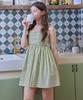 Eosseu Sleeveless Flare Mini Dress (Mint)