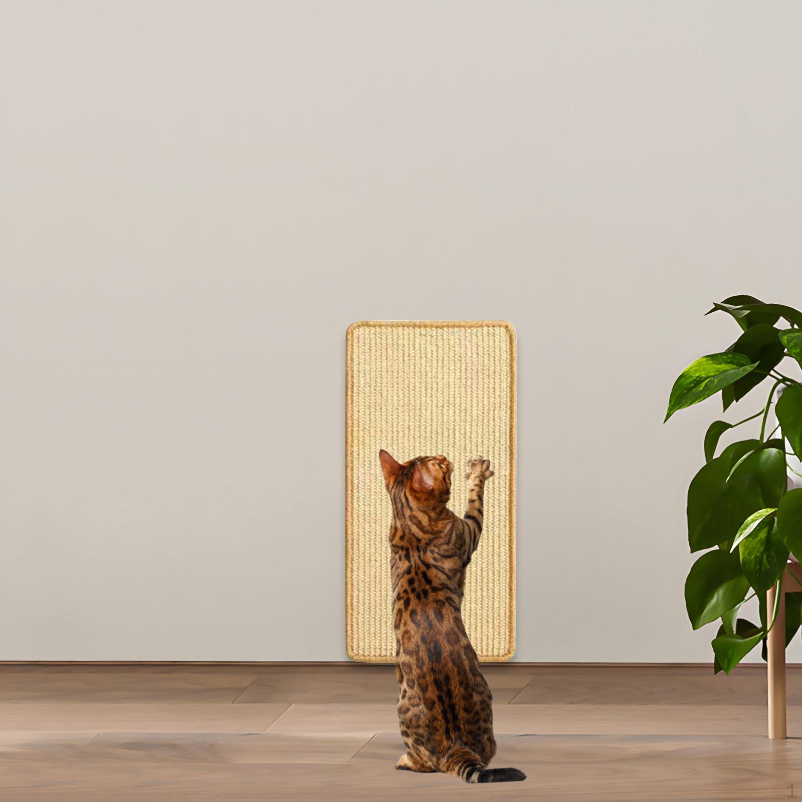 

Cat Floor Scratching Scratcher Mat for Indoor Cats Kitten Scratch Pad with Sticky Tape 20cmx40cm