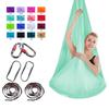Aerial Yoga Hammock With Extension Straps Carabiner - Silk Fabric No-Knot Design Home Gym Inversion Therapy Studio Use
