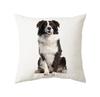 45x45cm Cute Cat Cushion Cover Polyester Throw Pillow For Bed Living Room Sofa Office Seat Car Kids  Decor Home
