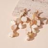 Ocean wind shell piece starfish silver needle earrings personalized vacation style temperament European and American niche high-end earrings women