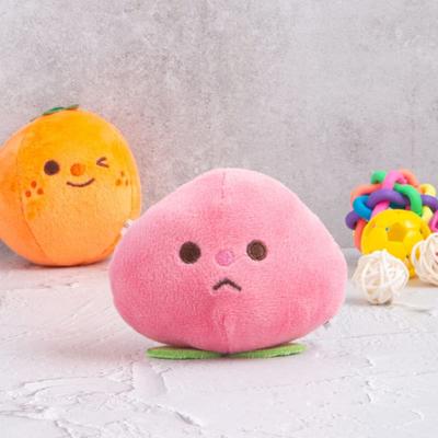 [Pet] Fruit Doll