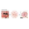 Stylish Automatic Folding Umbrella for Women - Sun & Rain Protection Parasol