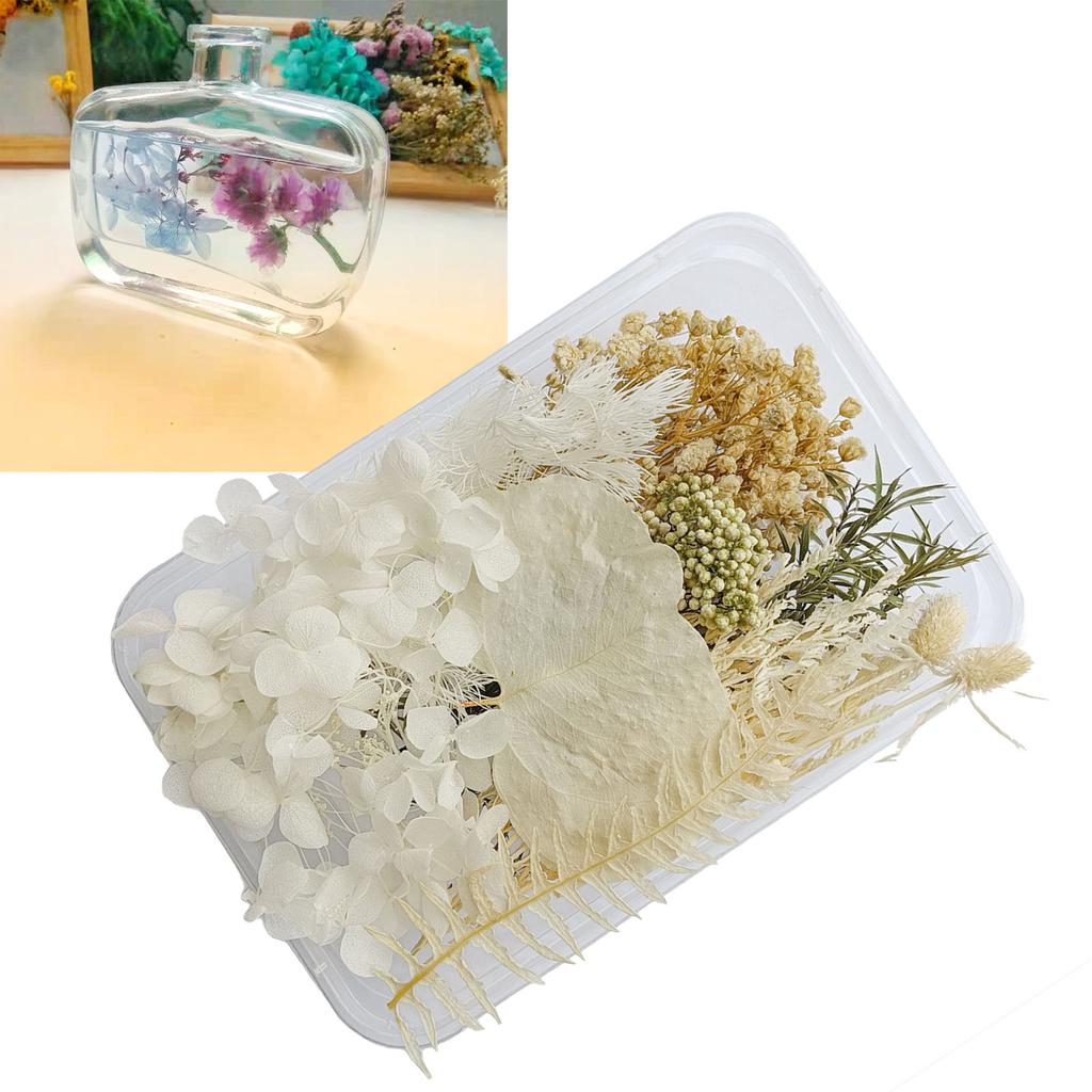 Getrocknete Blumen, exquisite, schöne, umweltfreundliche, farbige Trockenblumen für die Heimdekoration