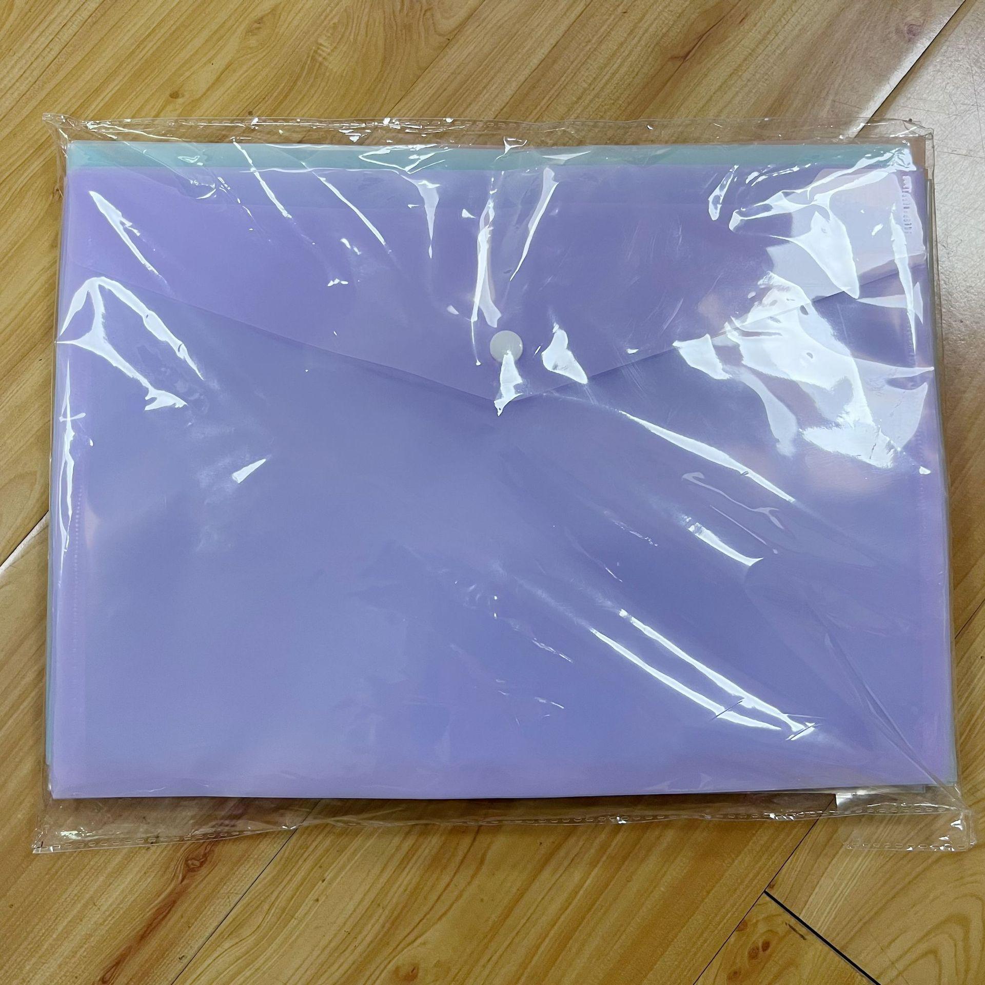 

Цветная прозрачная сумка для документов Morandi формата А4: Хранение ПП с этикеткой, водонепроницаемая застежка-кнопка