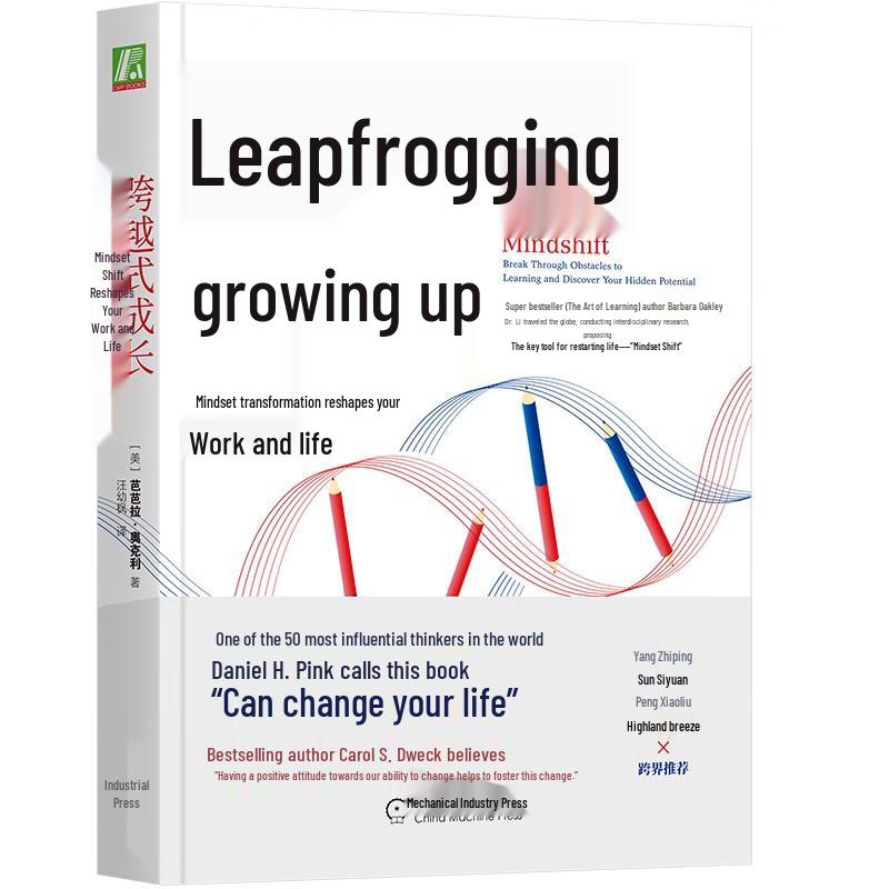 Leapfrog Growth: Mindset Transformation Book