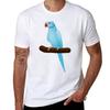 Blue Ringneck Parrot Tshirt All Weather Casual Short Sleeve