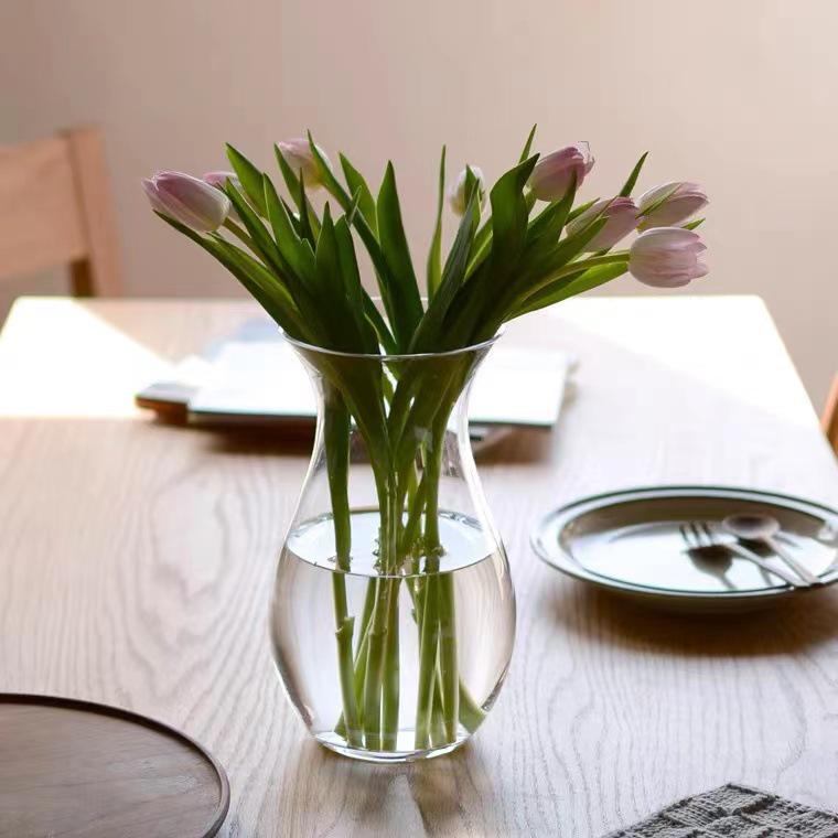 Modern Minimalist Glass Vase for Tulips & Ranunculus - Hydroponic Decor Accent for Living Room