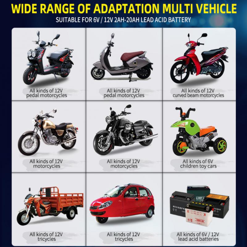 Automatic 2A 6V 12V Car Battery Charger -Acid GEL AGM Wet Calcium Deep Cycle VRLA Pulse Repair with LCD Display