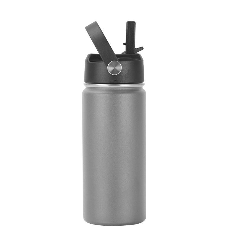 16oz 304 Stainless Steel Water Bottle, Double Wall Vacuum Insulated Sports Flask with Flip Straw Lid & Carry Handle