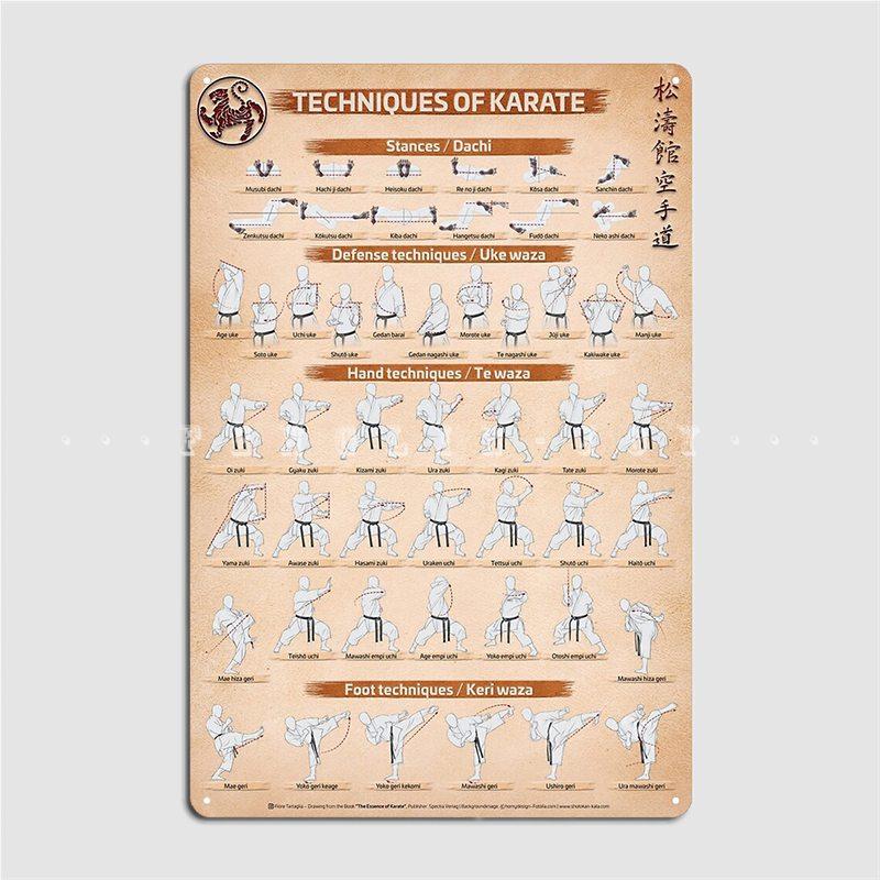 Техники каратэ от Фиоре Тарталья Металлическая табличка Клуб Дом Настенный плакат Ретро-плакат Жестяная табличка Плакат 20x30cm