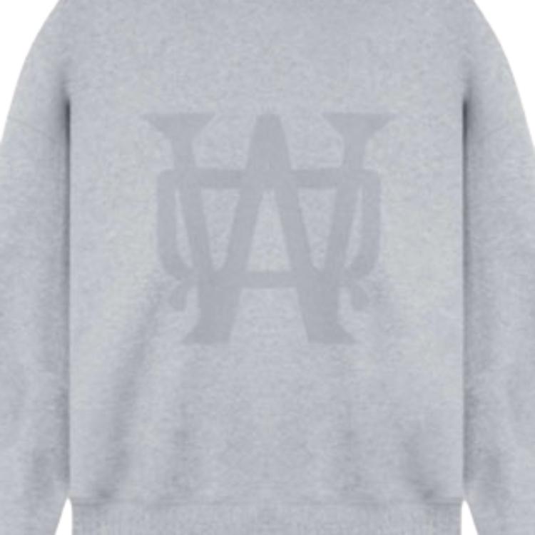 We11done FW22 Graphic Print Long Sleeve Sweatshirt Unisex sweatshirt Gray WD-TH3-22-801-U-MG