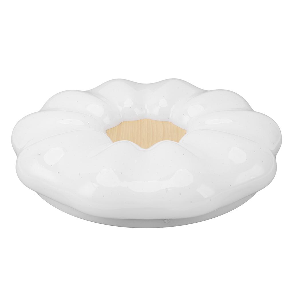 Flush Mount Ceiling Light Modern Ceiling Lamp 3 Color Temperature Dimmable Remote Control for