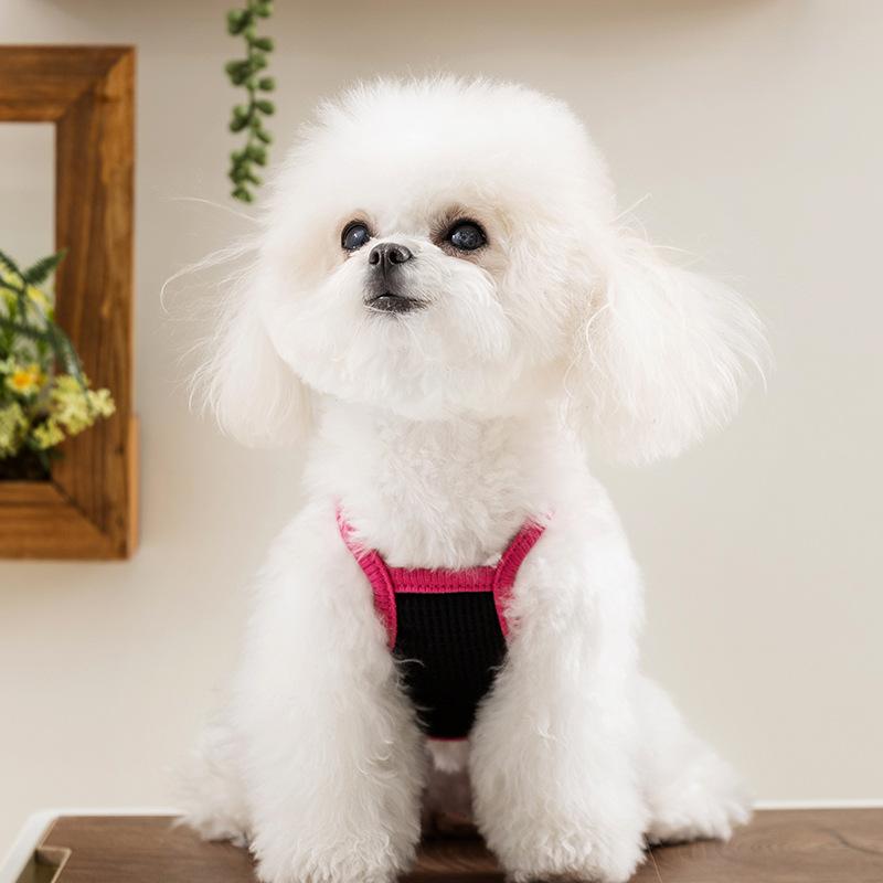 Sweet and cool spring and summer breathable and cool suspender two-legged vest teddy bear cat small dog dog pet clothes
