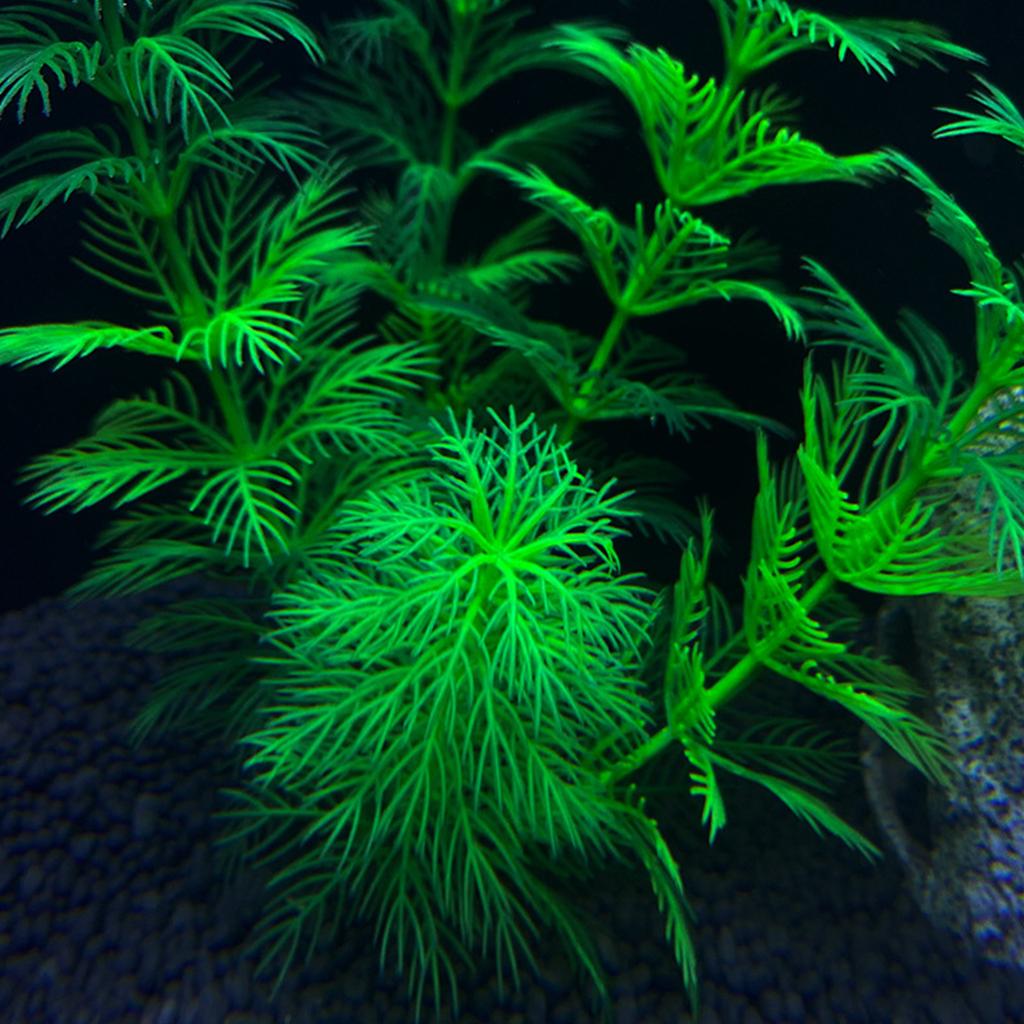 Aquarien Landschaft Gras Kunststoff Aquarien Dekorationen Kunsthandwerk Terrarium Habitat Ornamente Foto Requisiten