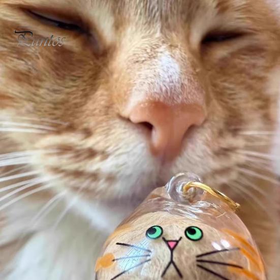 Elegant Pet Fur Memory Jar Cat Hair Storage Bottle Transparent Keepsake Keychain Memorial for Collecting And Dog Gift Pets