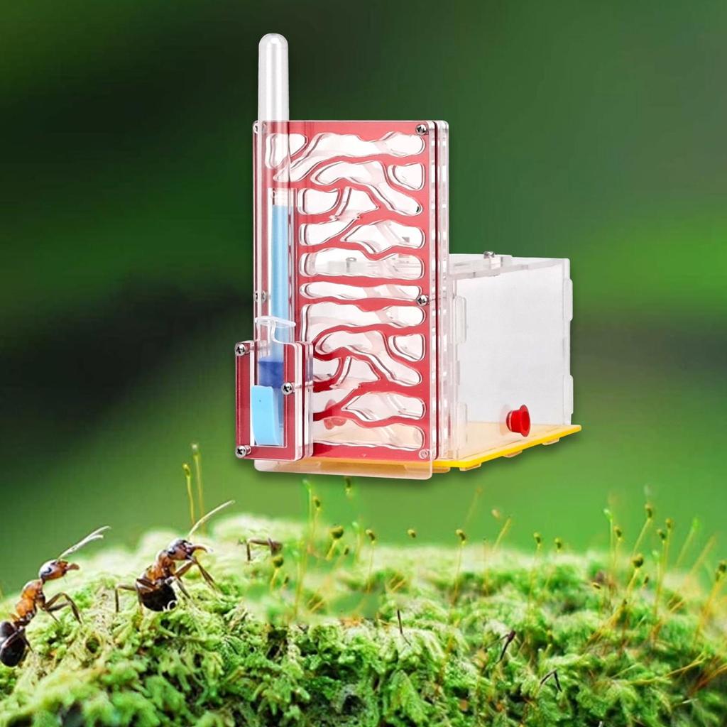 ANT Housing Nest DIY Funny Toys with Feeder Acrylic Habitat for Children's Day Lovers Decoration Tabletop Science Observation