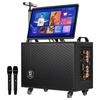 MALONE Portable Karaoke Machine with Display (CN Version)