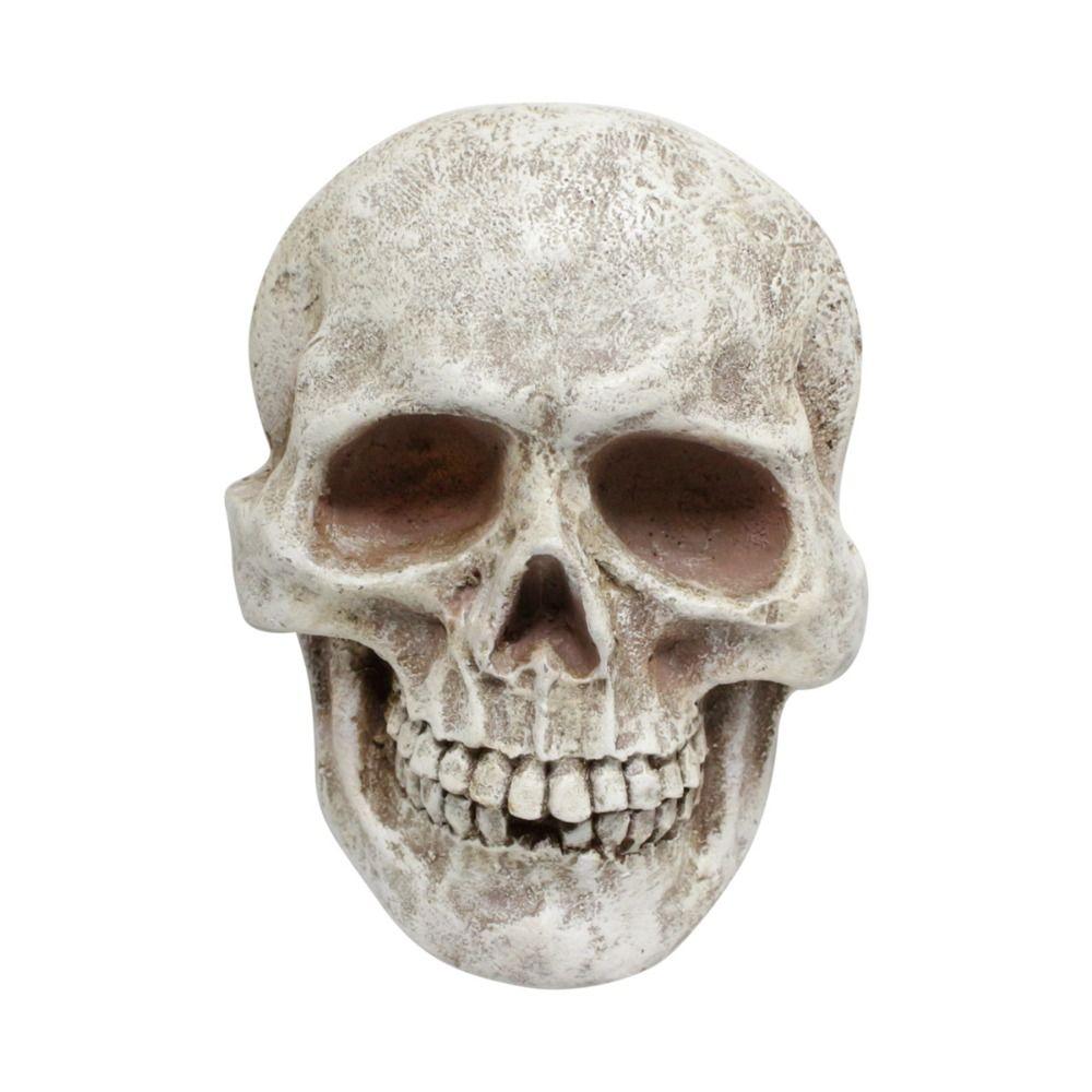 

Vintage Skull Bone Sculpture Resin Human Skeleton Halloween Skull Head Figurine Haunted House 15cm