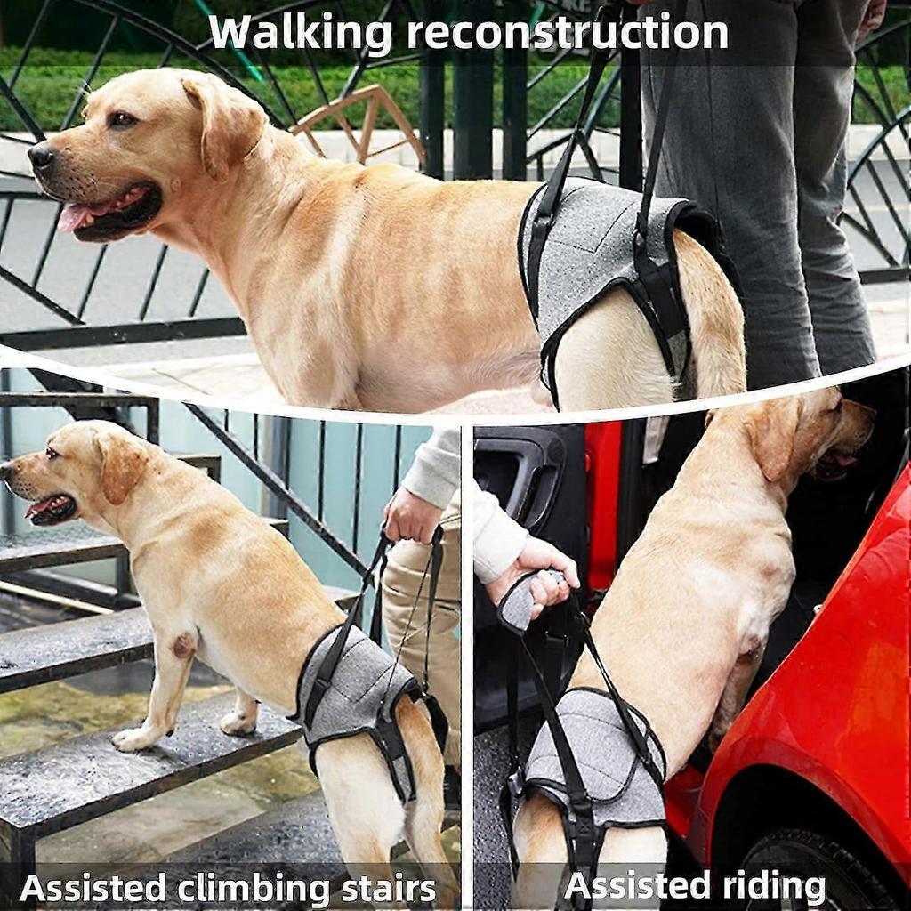 Dog Support Harness for Back Legs Large Dog Harness with Lift Handle Adjustable Puppy Harness for Pain Relief Rehabilitation Surgeries - M 1ytrd