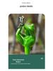 Binnenplaats Yoga Kikker Hars Ornament - Tuinlandschap Decoratie