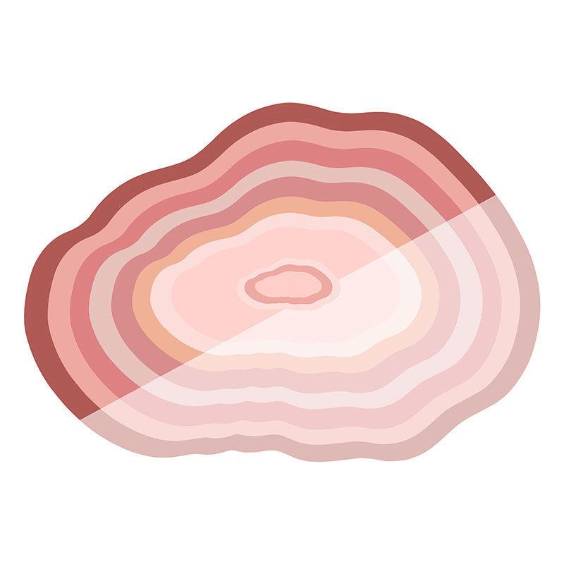 Thick Floor Mat Living Room Carpet Sofa Coffee Table Rug Popular Bedroom Area Rug Bedside Foot Mat