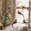 Decorative Artificial Bird Set 10Pcs 5Styles With Clips For Home Wedding Decoration