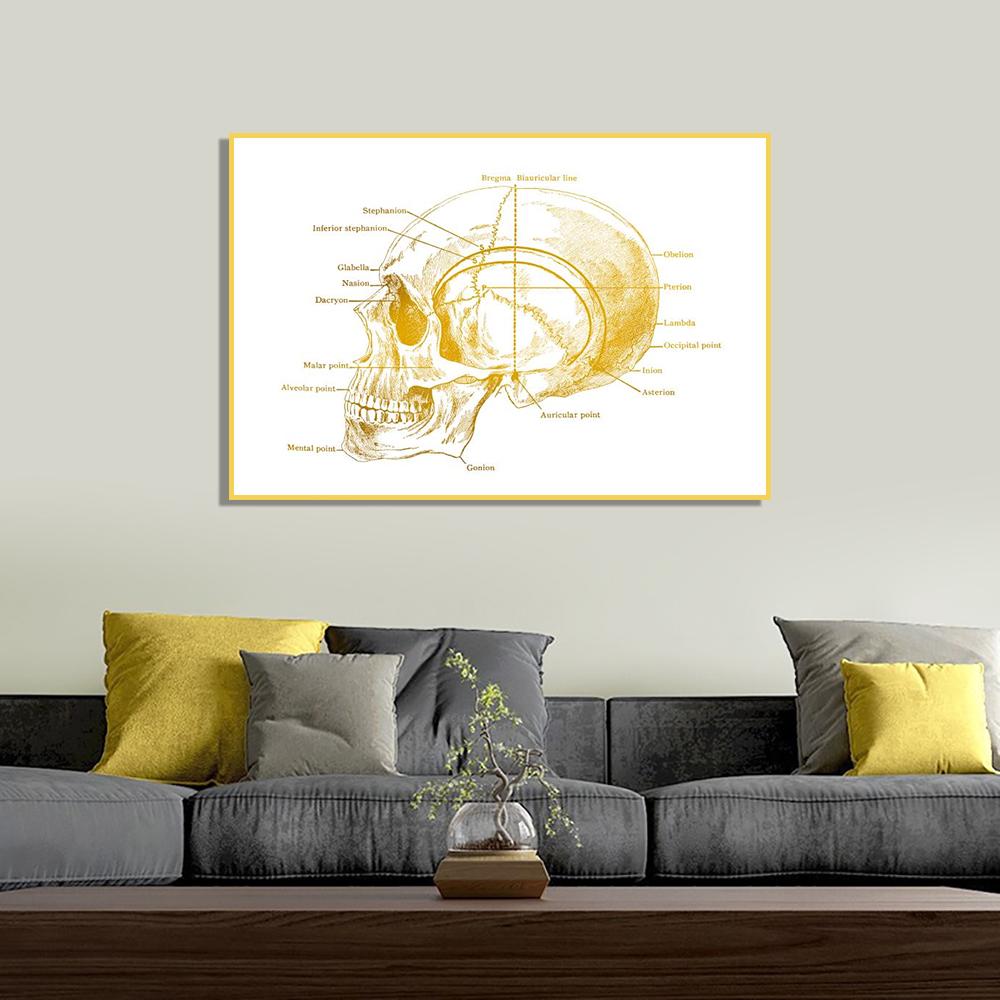 Human Organ Bone Tissue Structure Poster Golden Nordic Retro Style Canvas Painting Living Room Wall Art Prints Modern Home Decor No Frame
