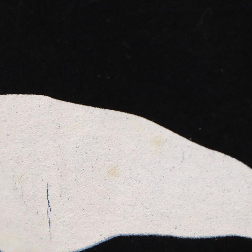 THUNDER Che Guevara Print Short Sleeve T-shirt S Black Men's Used