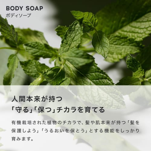 Mama Baby Body Soap & Oil Set, Additive-Free, Organic, Sensitive Skin, Suitable for Parents and Children (500mL X 500mL)